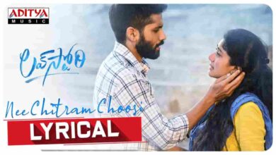 Nee Chitram Choosi Song Lyrics