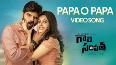 Papa O Papa Song Lyrics in English