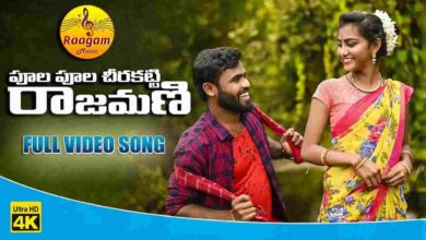 Poola Poola Cheera Katti Song Lyrics