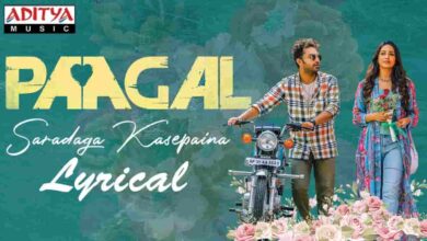 Saradaga Kasepaina Song Lyrics