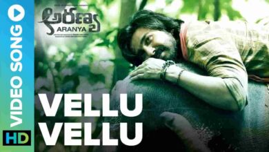 Vellu Vellu Song Lyrics