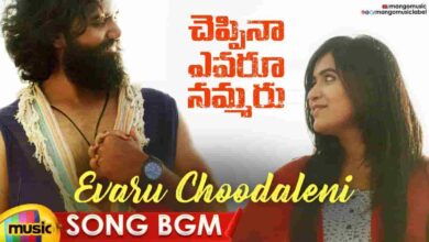 Evaru Choodaleni Song Lyrics