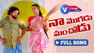 Naa Mogudu Manchodu Song Lyrics