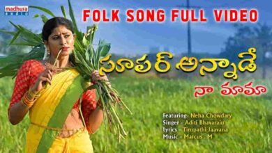 Super Annade Naa Mama Song Lyrics