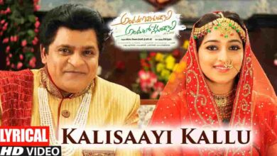 Kalisaayi Kallu Kallu Song Lyrics