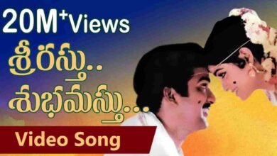 Srirastu Subhamastu Song Lyrics in Telugu